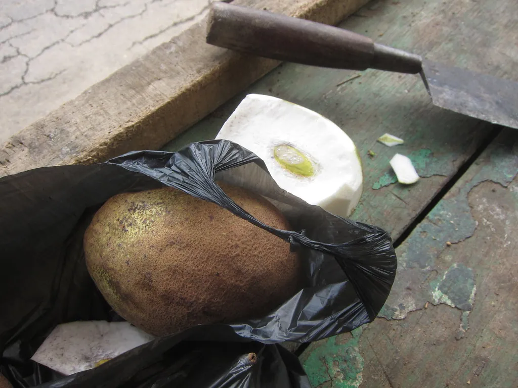 Binjai, photo 2