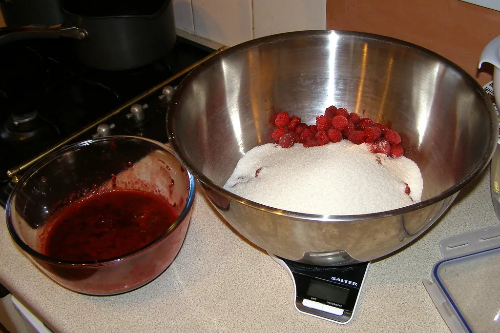 Loganberry, photo 2