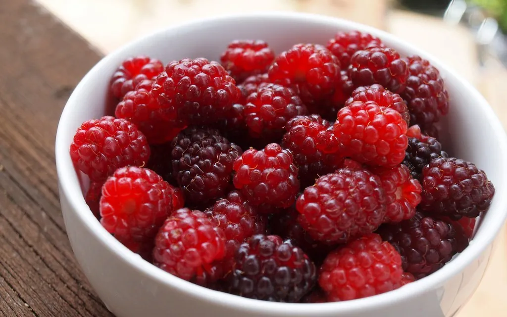 Boysenberry, photo 1