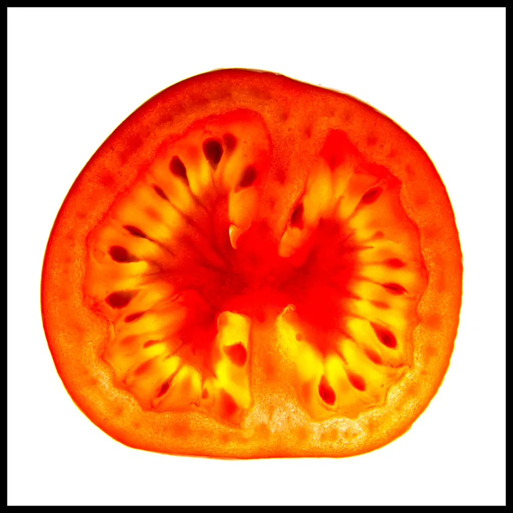 Tomato, photo 2