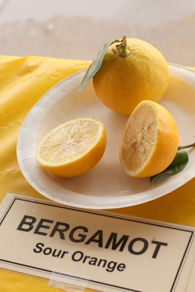 Bergamot, photo 3