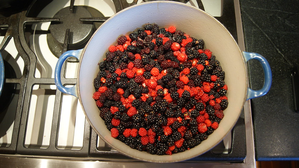 Wineberry, photo 1
